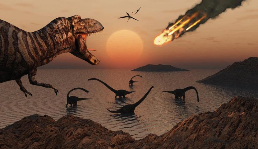 کشف علت انقراض دایناسورها با شواهد شیمیایی در لایه های زمین !